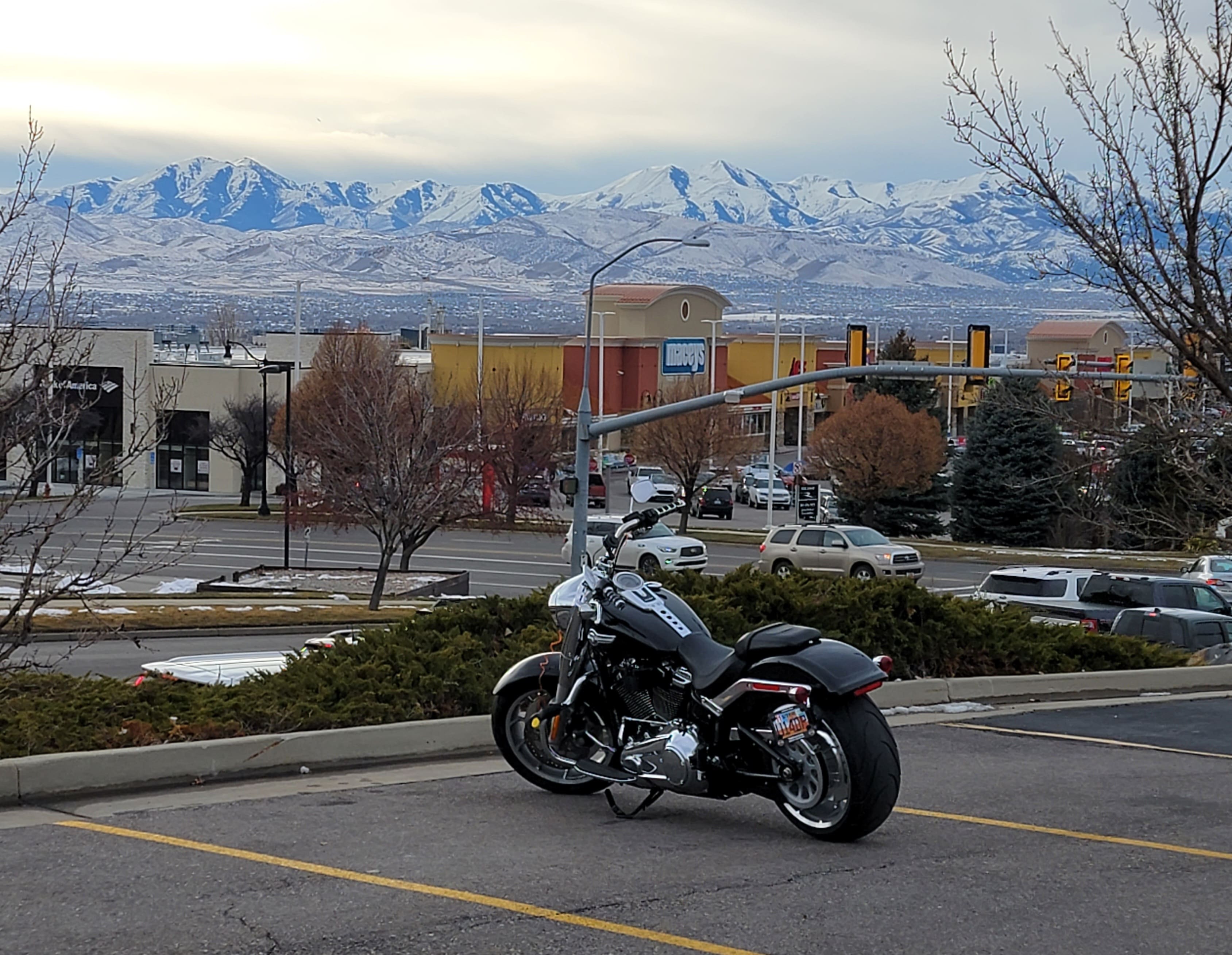 Harley 1