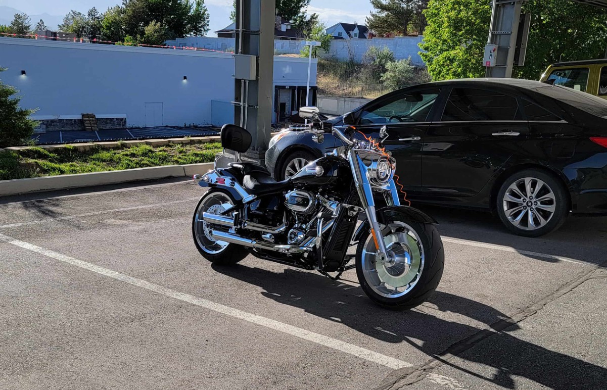 Harley 3